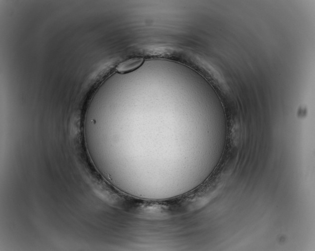 X0000101150407200807111010