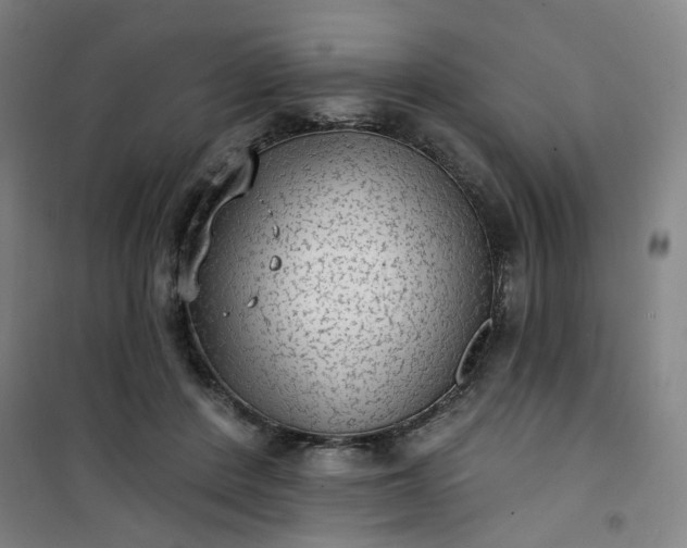 X0000101150408200807111010