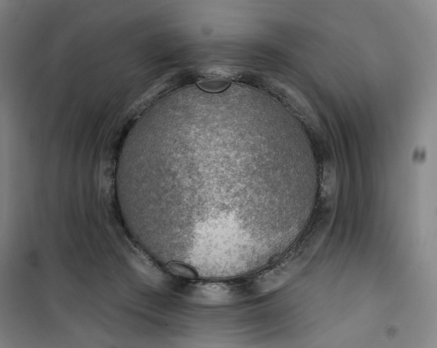 X0000101150409200807111010