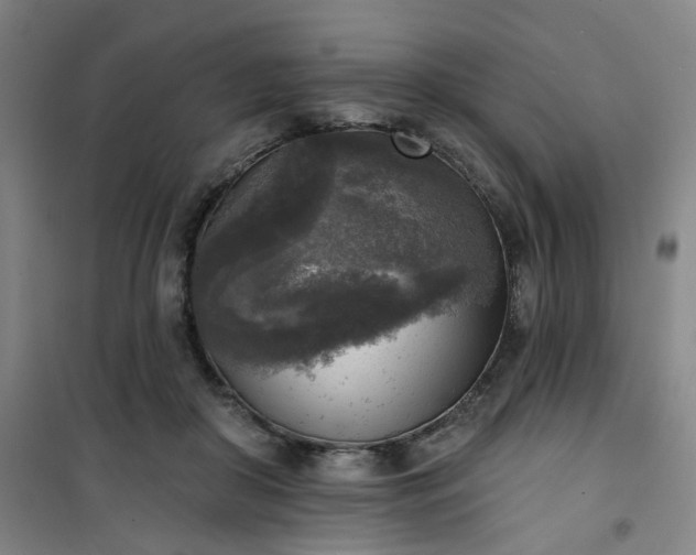 X0000101150410200807111010