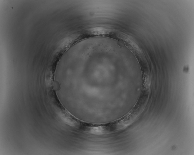 X0000101150411200807111010