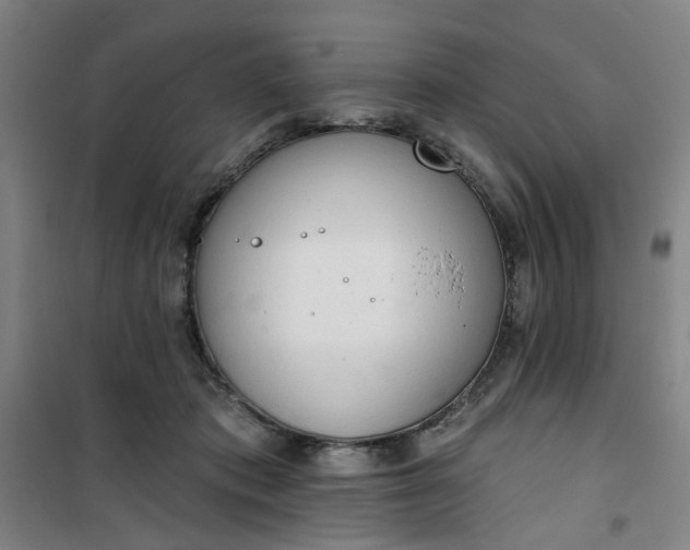 X0000101150413200807111010