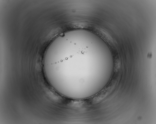 X0000101150414200807111010