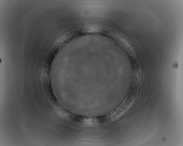 X0000101150415200807111010