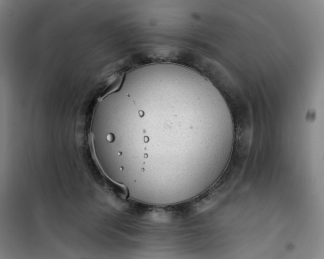 X0000101150416200807111010