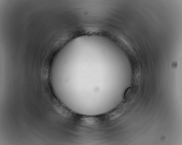 X0000101150417200807111010