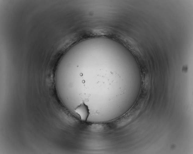 X0000101150418200807111010