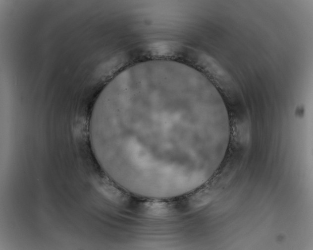 X0000101150419200807111010