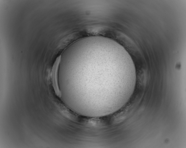 X0000101150420200807111010