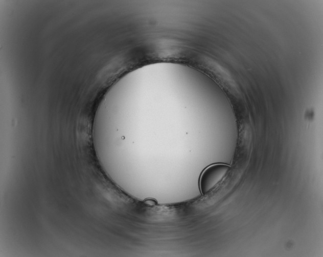 X0000101150421200807111010