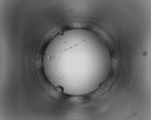 X0000101150422200807111010