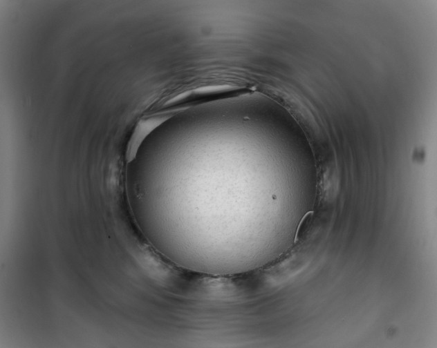 X0000101150424200807111010