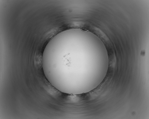 X0000101150425200807111010