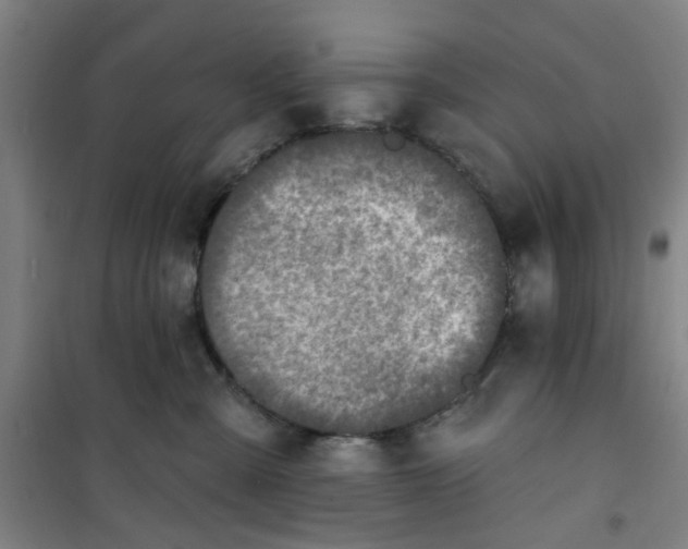 X0000101150427200807111010