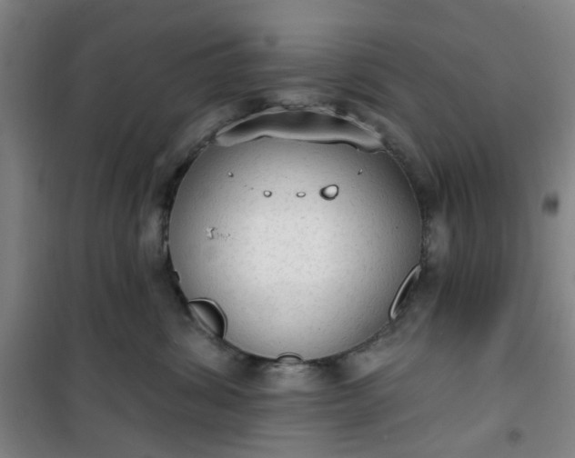 X0000101150428200807111010