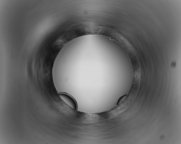 X0000101150429200807111010