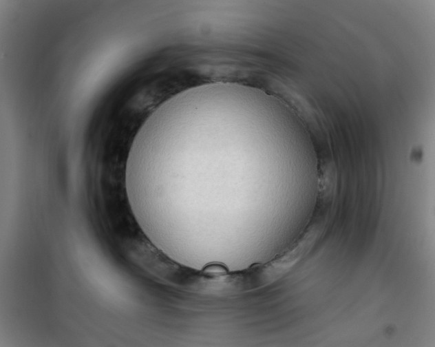 X0000101150430200807111010