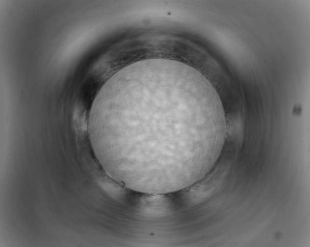 X0000101150431200807111010