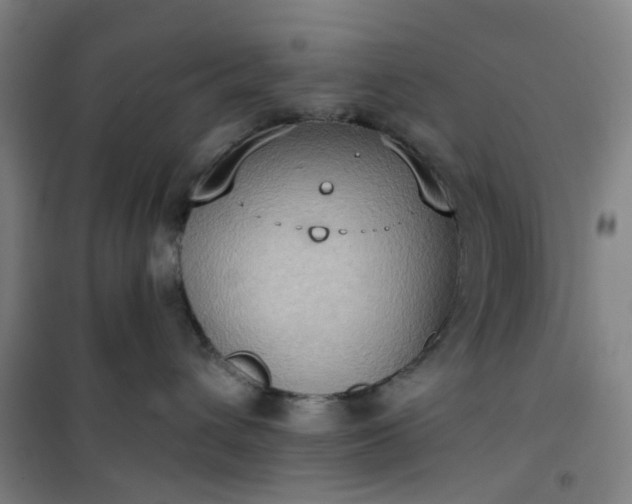 X0000101150432200807111010