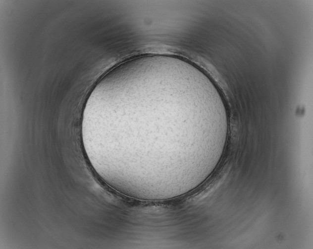 X0000101150433200807111009