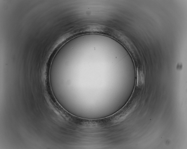 X0000101150435200807111009