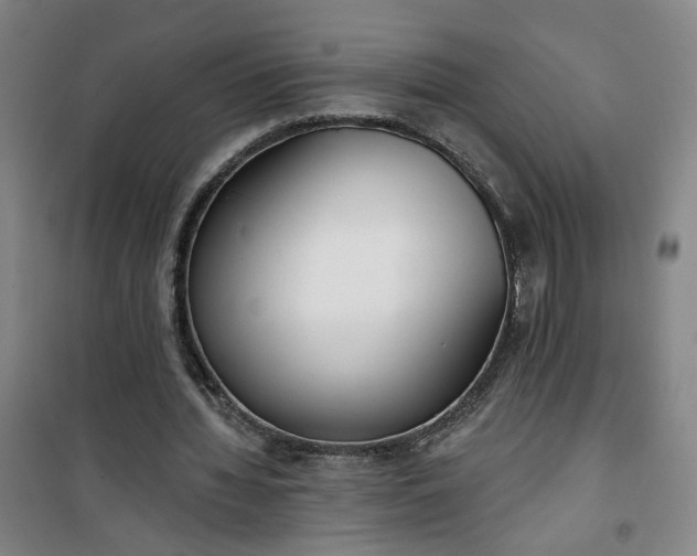 X0000101150436200807111009