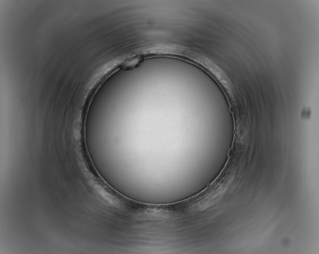 X0000101150437200807111009