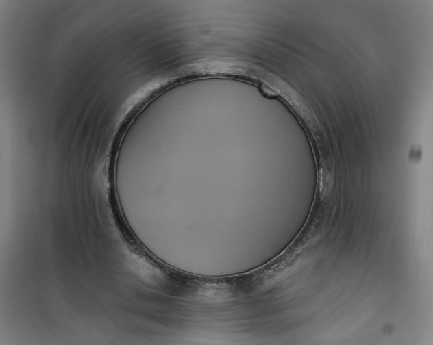 X0000101150438200807111009