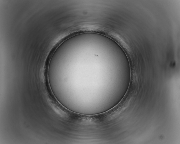 X0000101150439200807111009