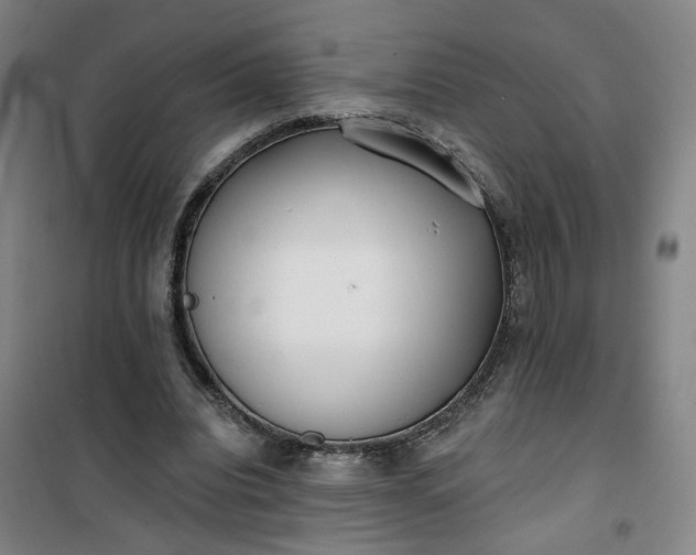 X0000101150440200807111009