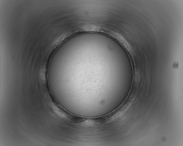 X0000101150441200807111009