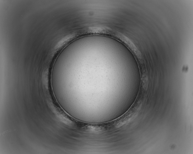 X0000101150442200807111009