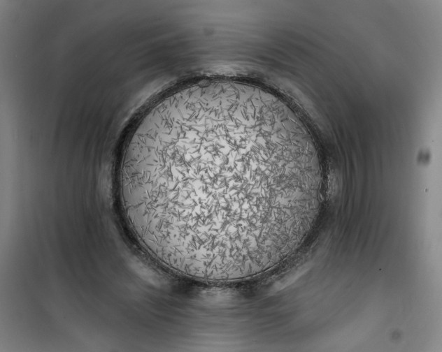 X0000101150444200807111009