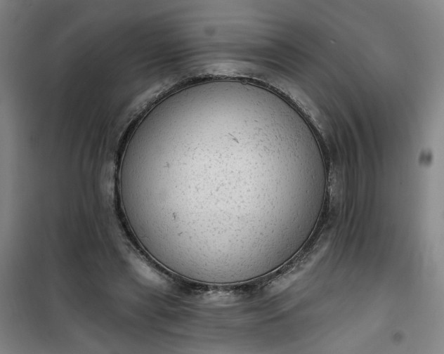 X0000101150445200807111009