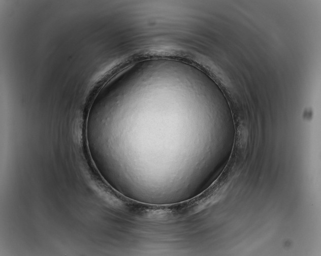 X0000101150446200807111009