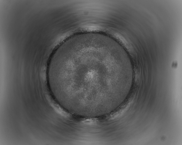 X0000101150447200807111009