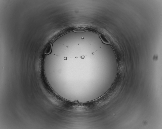 X0000101150448200807111009