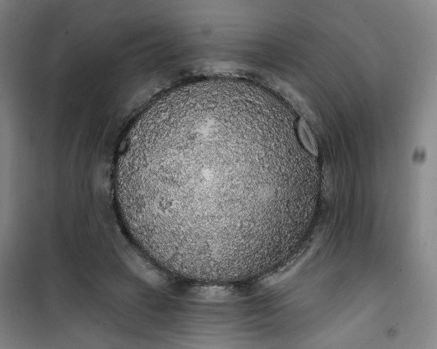 X0000101150449200807111009