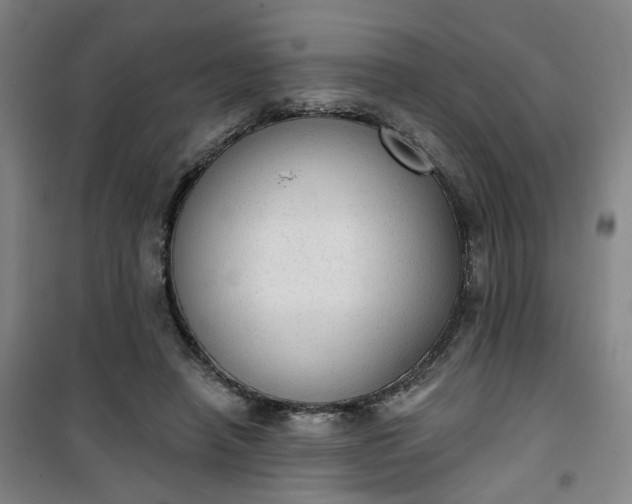 X0000101150450200807111009