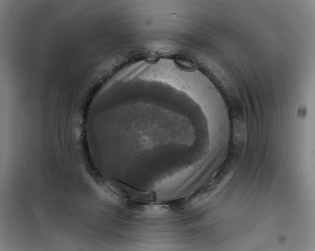 X0000101150451200807111009