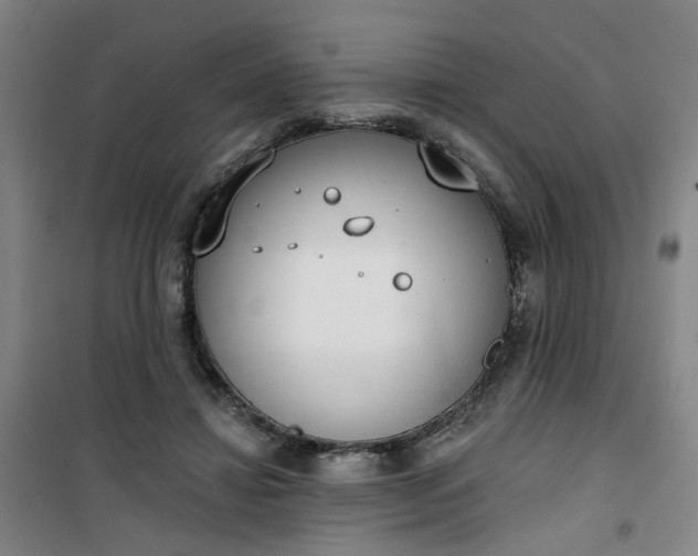 X0000101150452200807111009