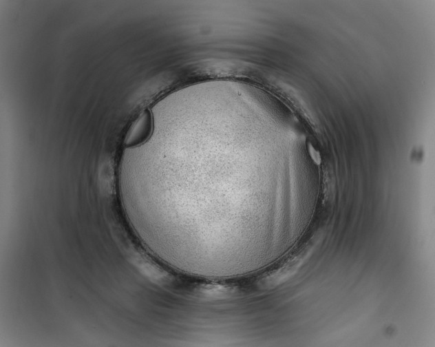 X0000101150453200807111009