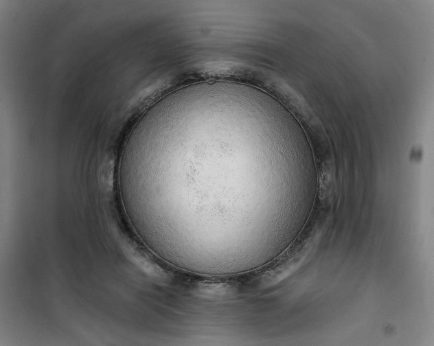 X0000101150454200807111009