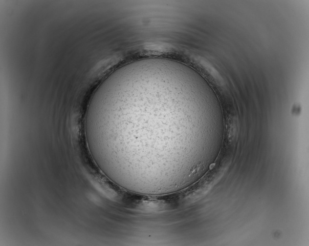 X0000101150455200807111009