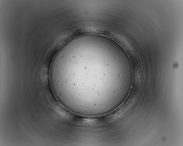 X0000101150457200807111009