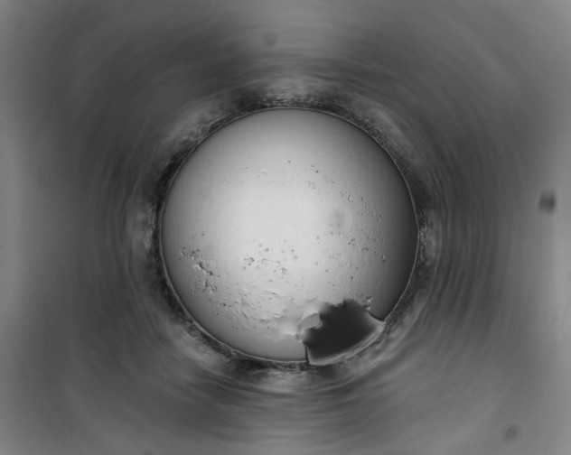 X0000101150458200807111009