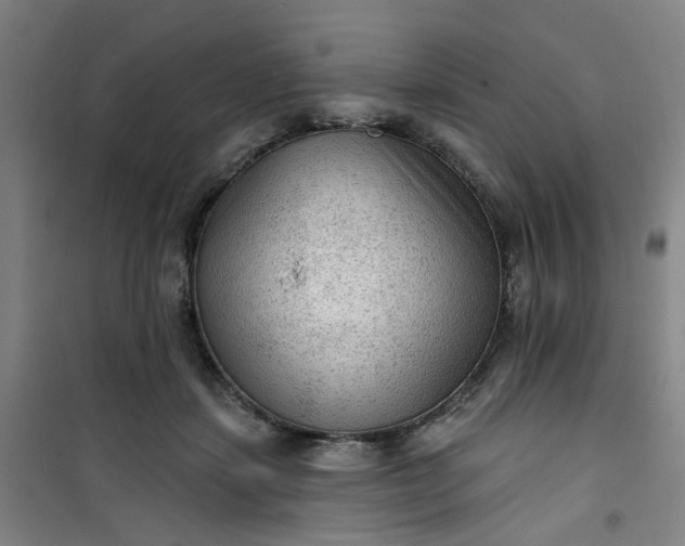 X0000101150459200807111009