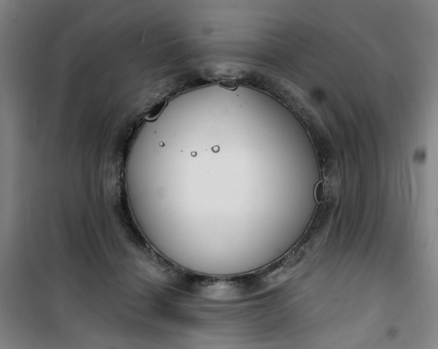 X0000101150460200807111009