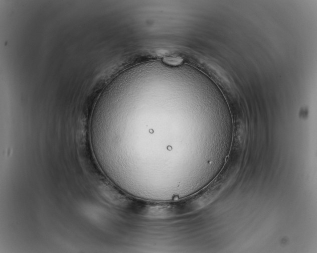 X0000101150461200807111009