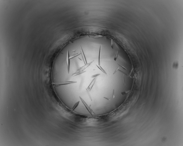 X0000101150462200807111009